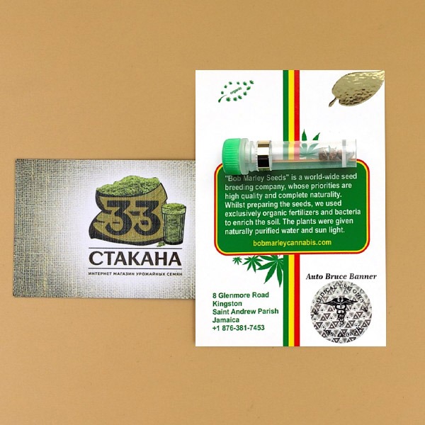 AUTO BRUCE BANNER купить