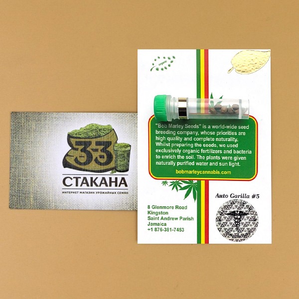 Auto Gorilla #5 купить