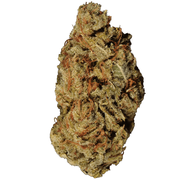 33stakana Афганістан Лайтс