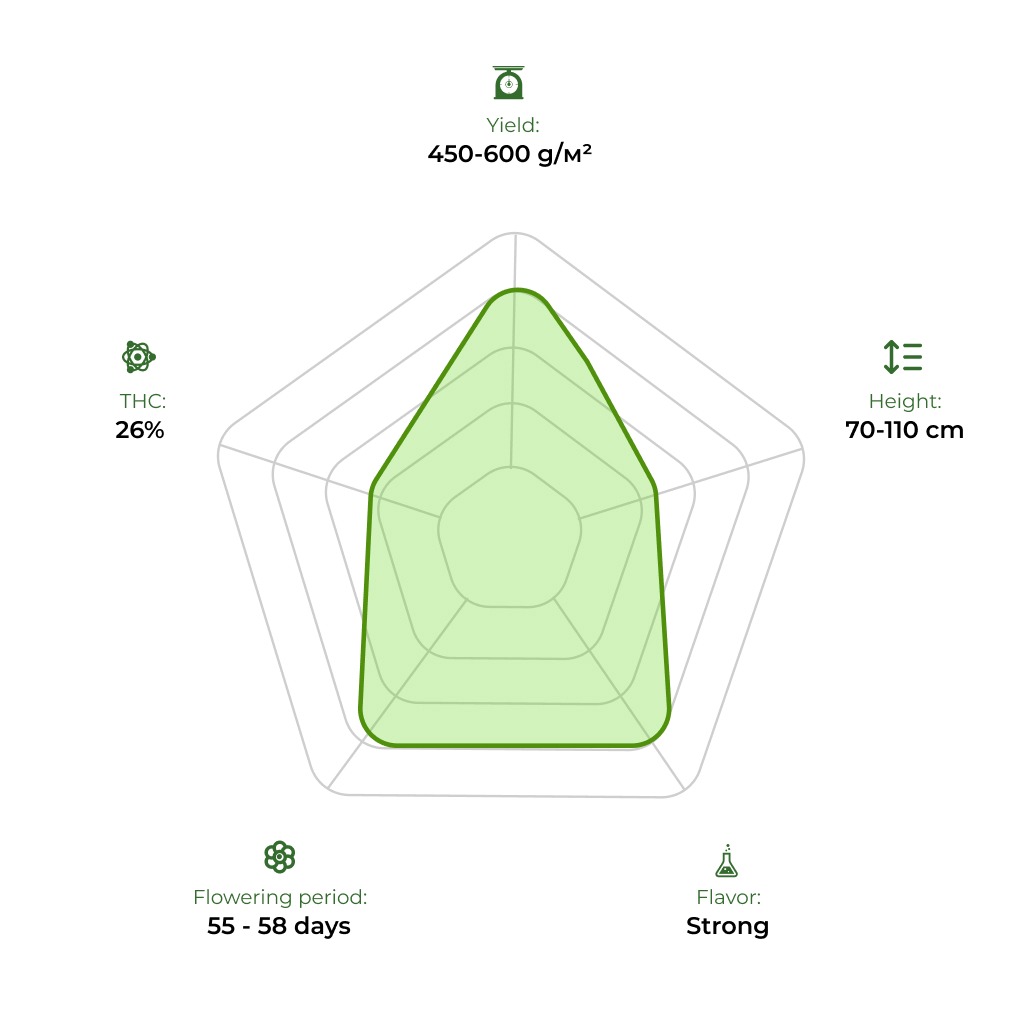 Africa Unite technology radar 33stakana