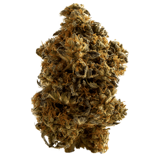 cannabis Africa Unite