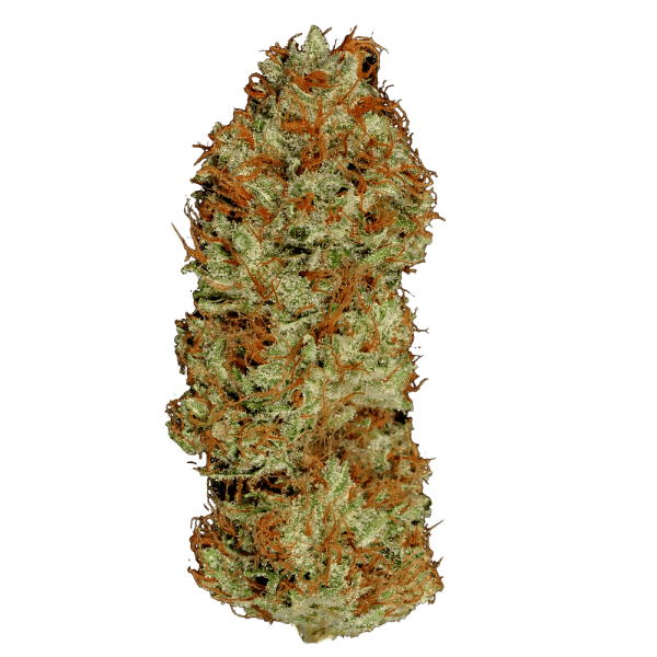 Ak-47 фото сорта коноплі