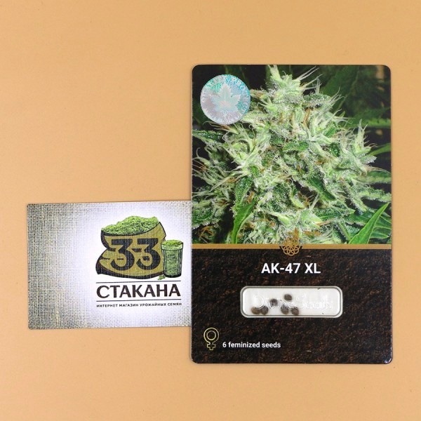 AK-47 від Divine Seeds 33stakana