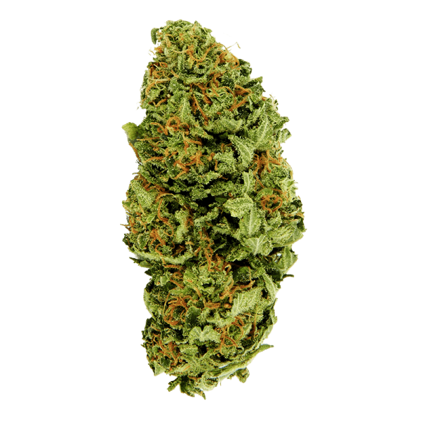 Auto Big Bang THC18-20%