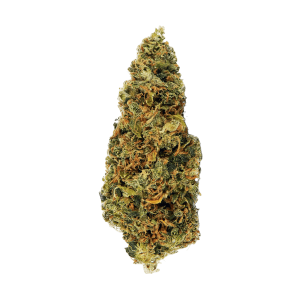 сорт семян конопли Auto Bob feminised