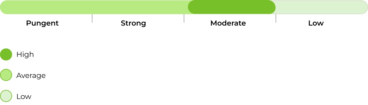 Auto Jamaica smell 33stakana