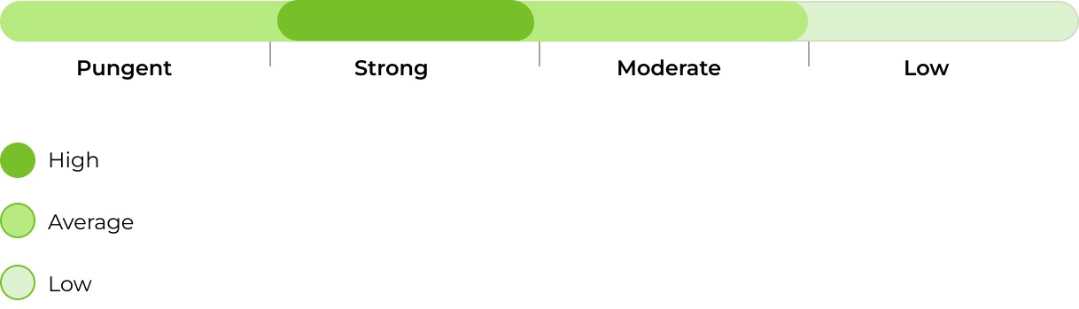 Auto Lemon Zkittlez smell 33stakana