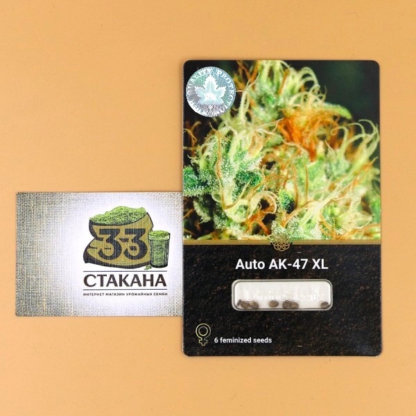 Auto AK-47 XL 33stakana
