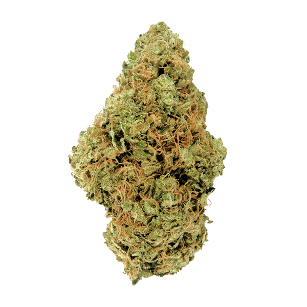 Auto AK-47 XL THC24%