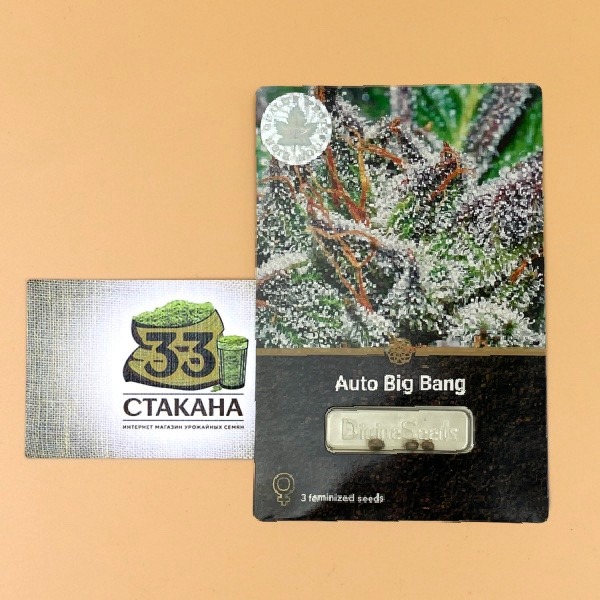 Auto Big Bang 33stakana