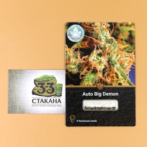 Auto Big Demon 33stakana