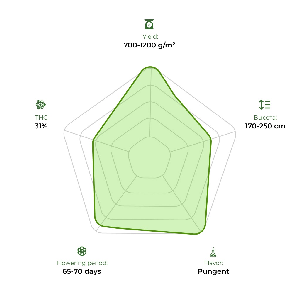 Gagarin technology radar 33stakana