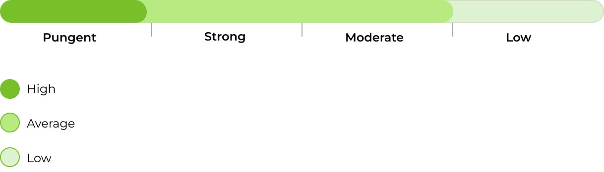 Gorilla #5 smell 33stakana