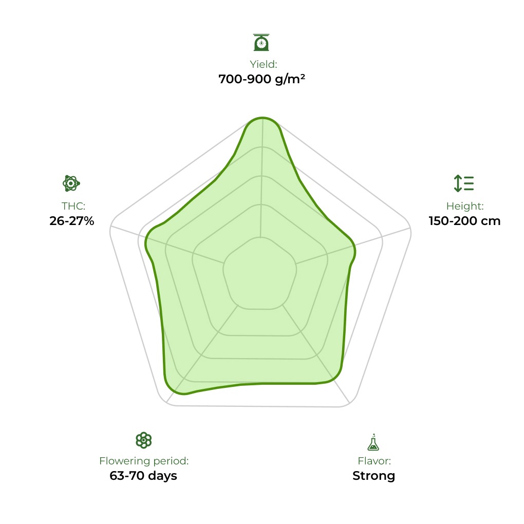 One Joint technology radar 33 stakana