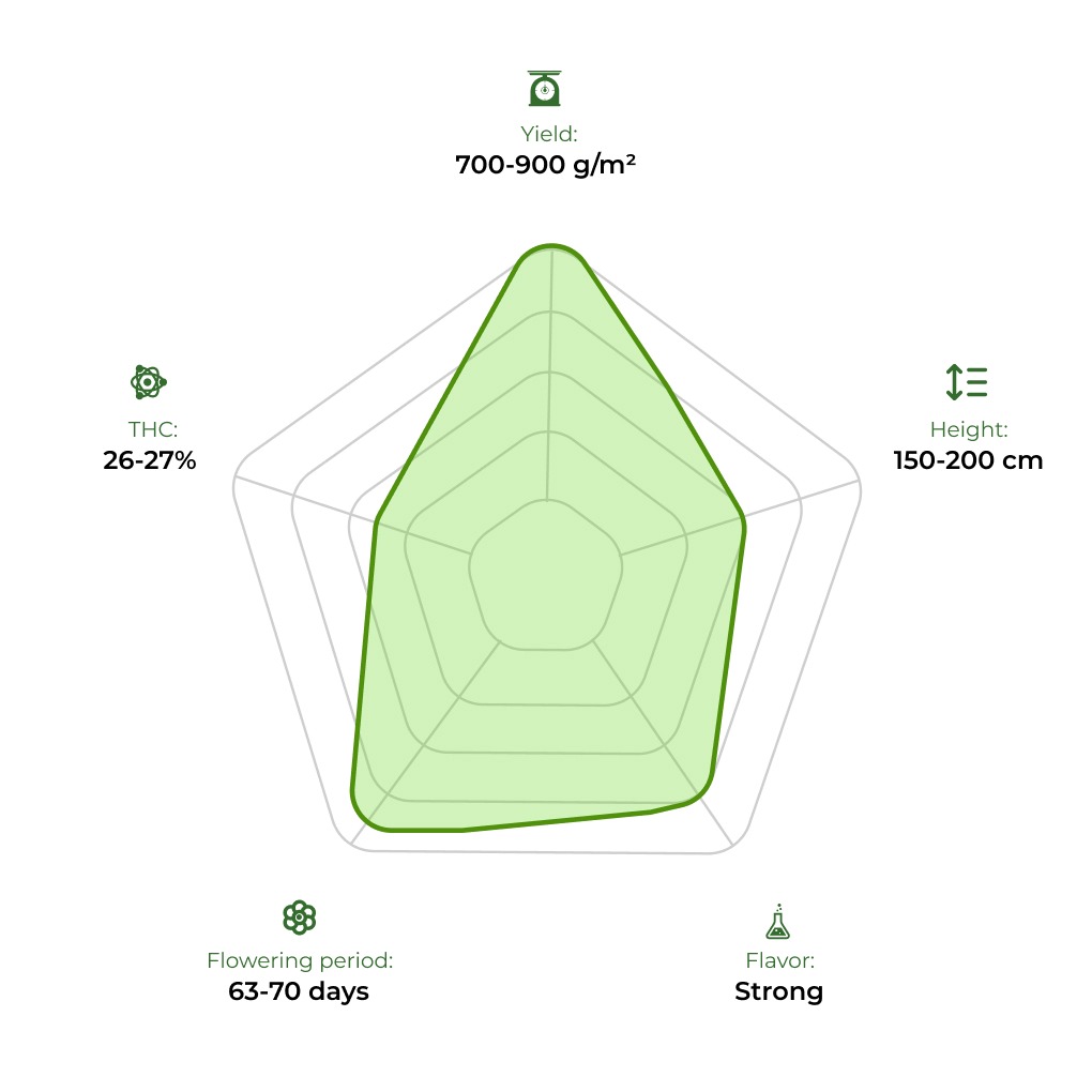 One Joint technology radar 33stakana