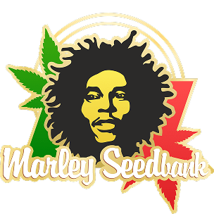 Сидбанк Marley Seedbank 33stakana