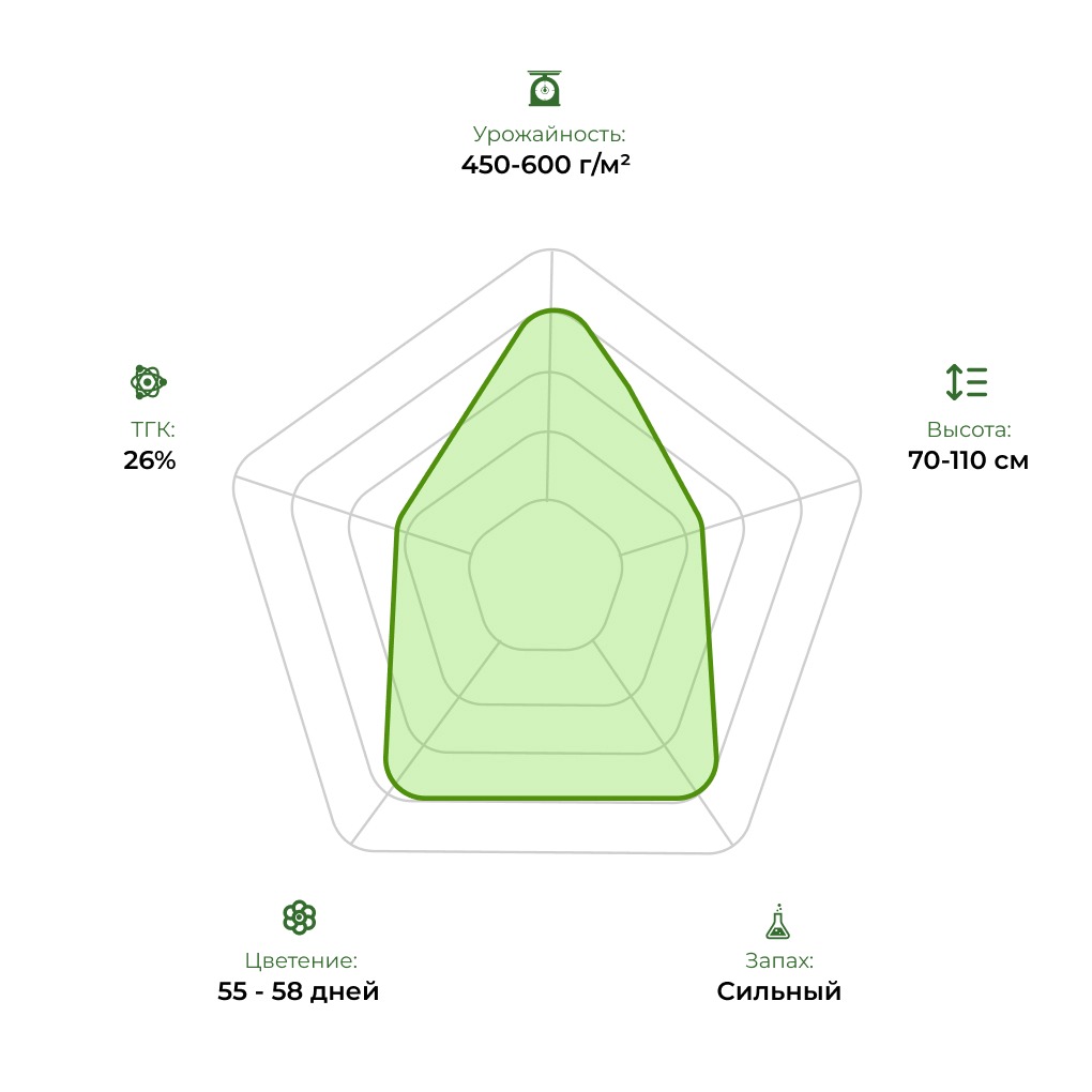 Технологический радар сорта Africa Unite 33stakana