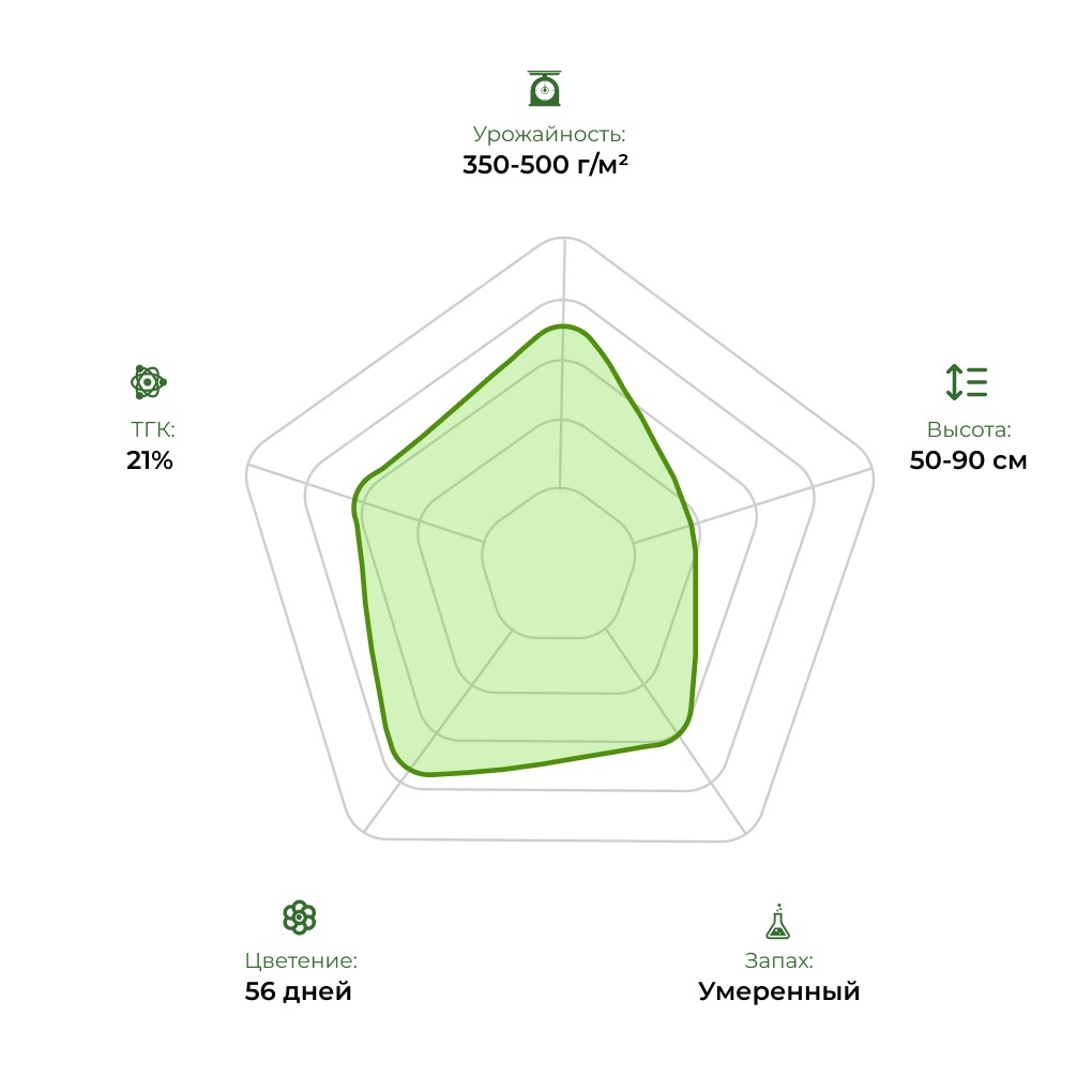 Технологический радар сорта Auto 77 Days 33 s