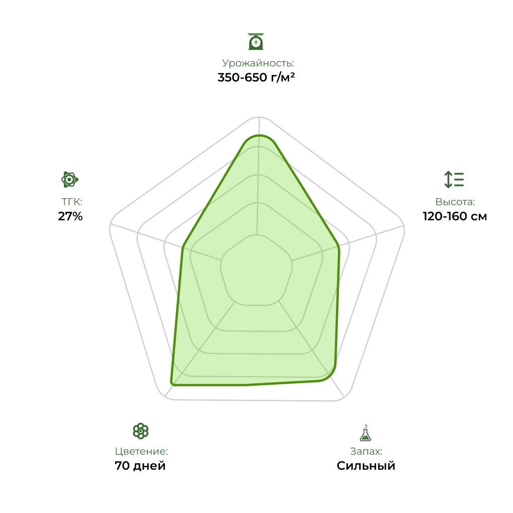 Технологический радар сорта Auto Bruce Banner 33stakana