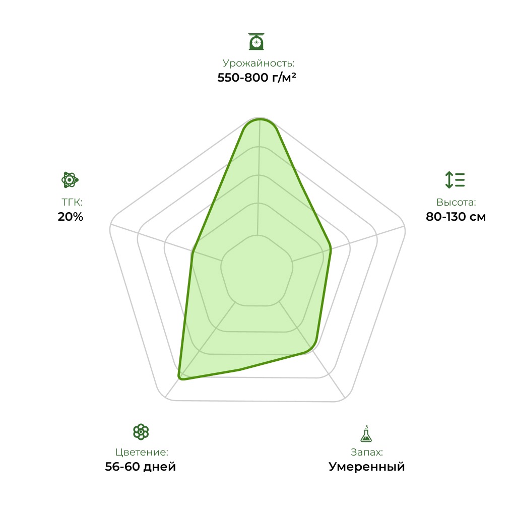 Технологический радар сорта Auto Colorado Cookies 33stakana