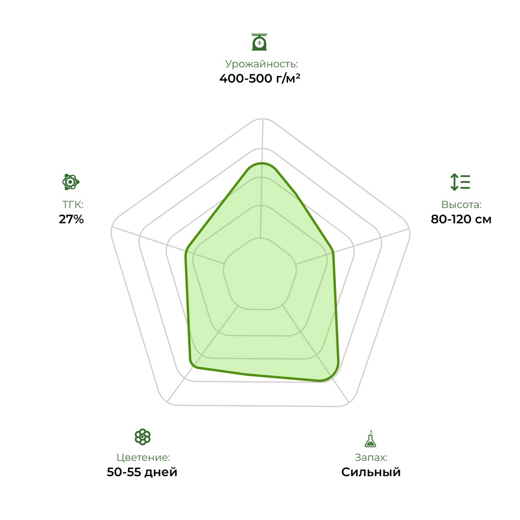 Технологический радар сорта Auto Gagarin Fast 33stakana
