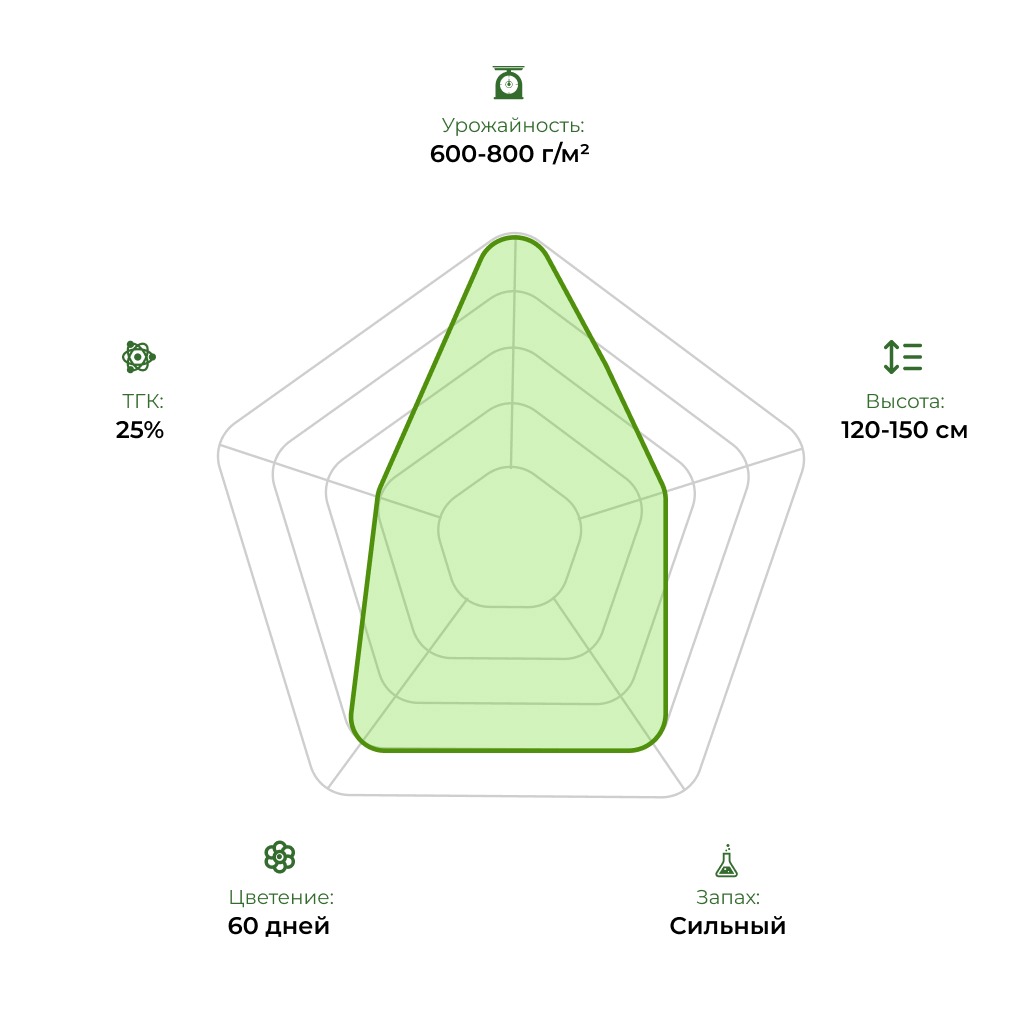 Технологический радар сорта Auto Gorilla #5 33stakana