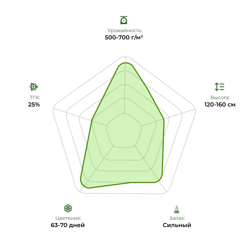 Технологический радар сорта Auto Green Crack 33stakana