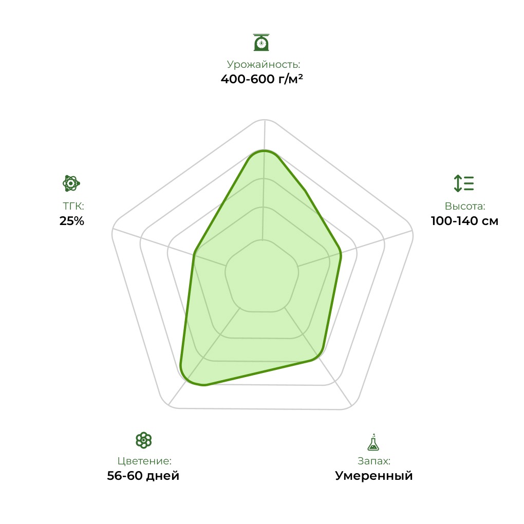 Технологический радар сорта Auto Jamaica 33stakana