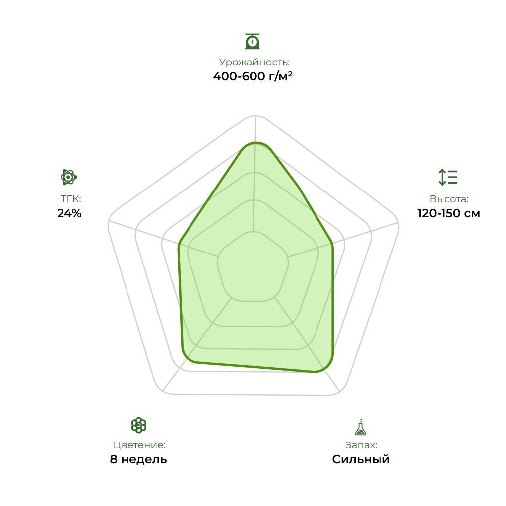 Технологический радар сорта Auto Pineapple Express 33stakana