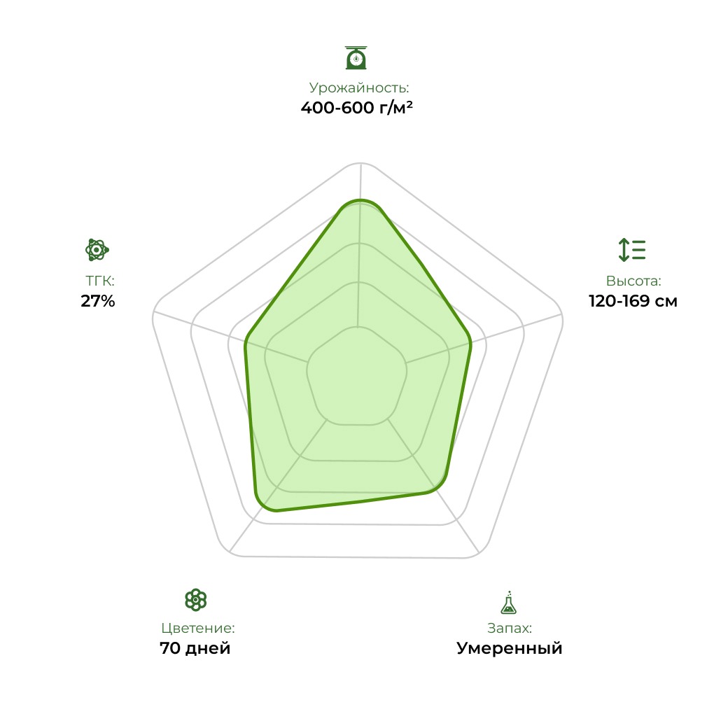 Технологический радар сорта Auto Satori 33stakana
