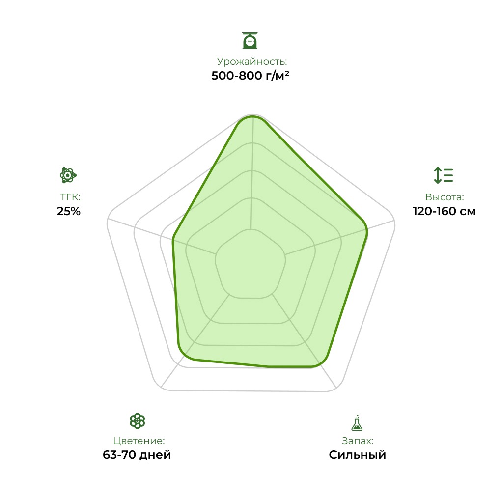 Технологический радар сорта Auto Tangie 33stakana