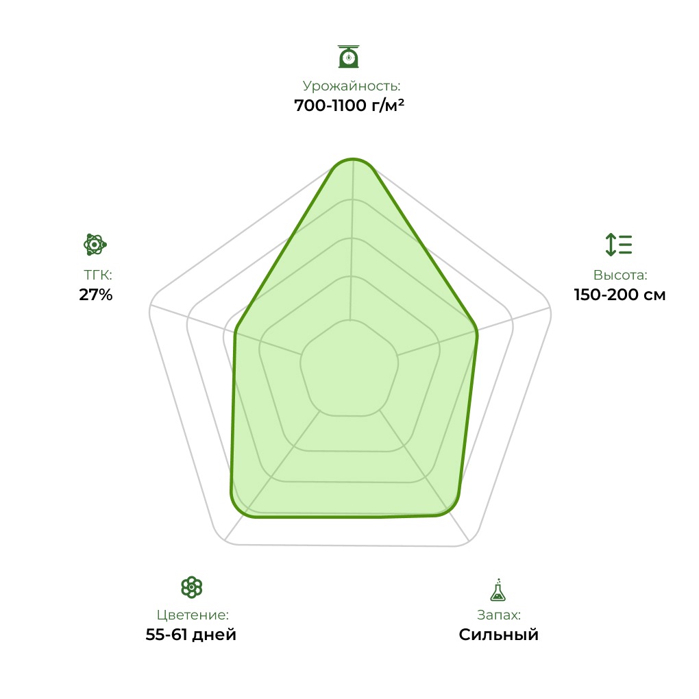 Технологический радар сорта Bruce Banner Fast 33stakana