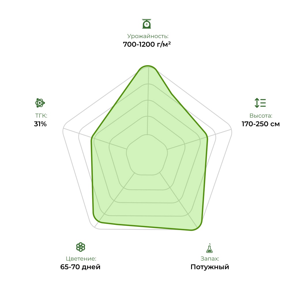 Технологический радар сорта Gagarin 33stakana