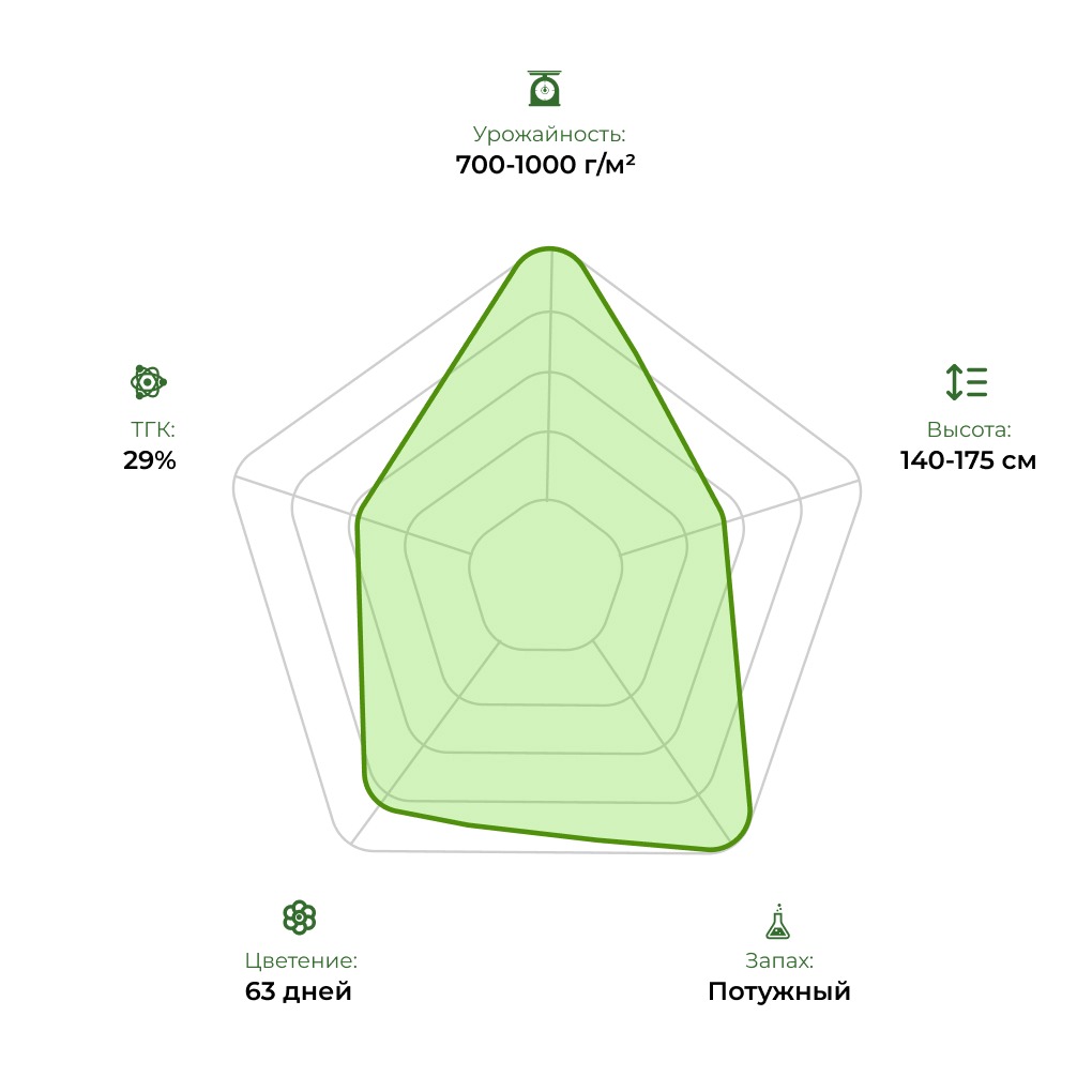 Технологический радар сорта Gorilla #5 33stakana