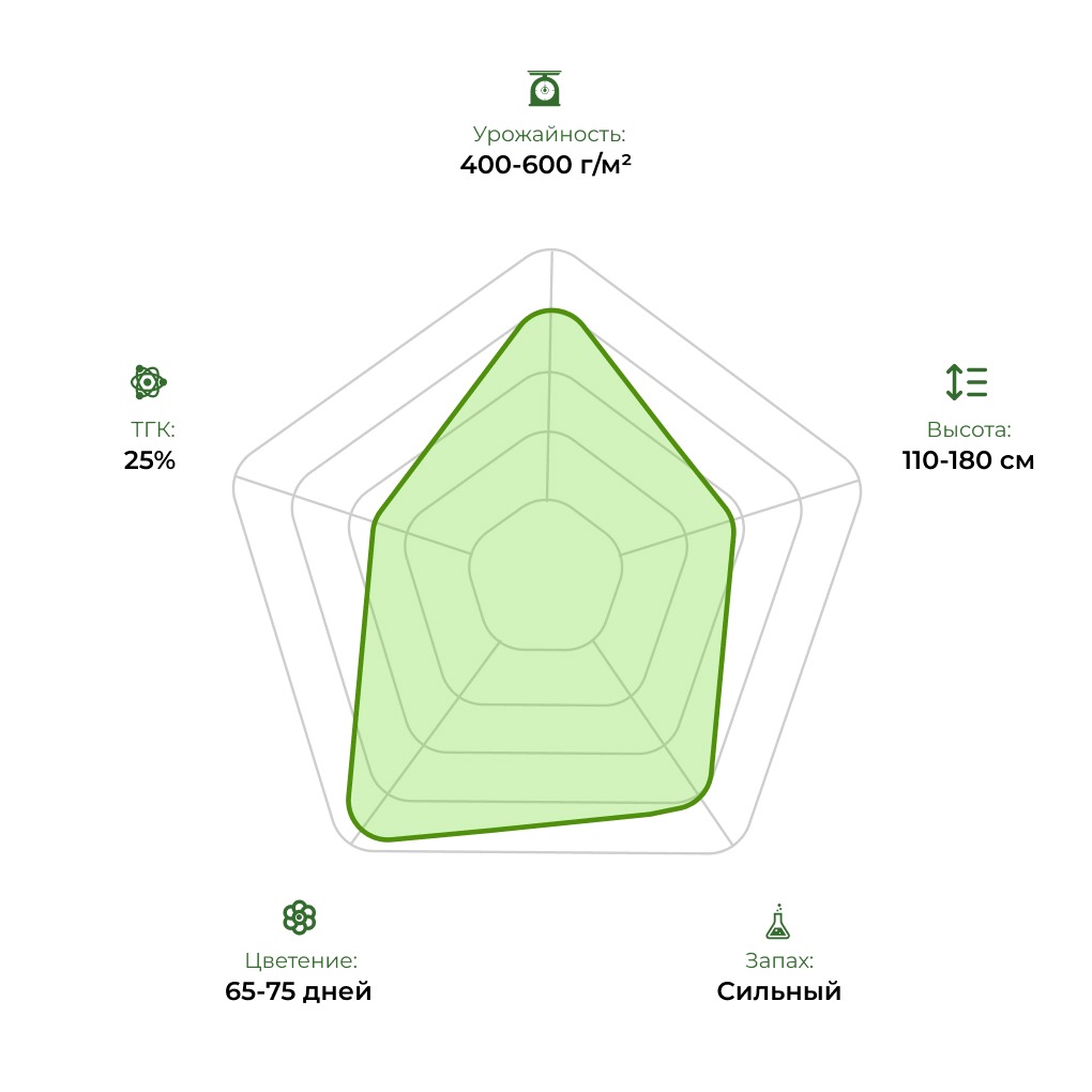 Технологический радар сорта Out of Space 33stakana