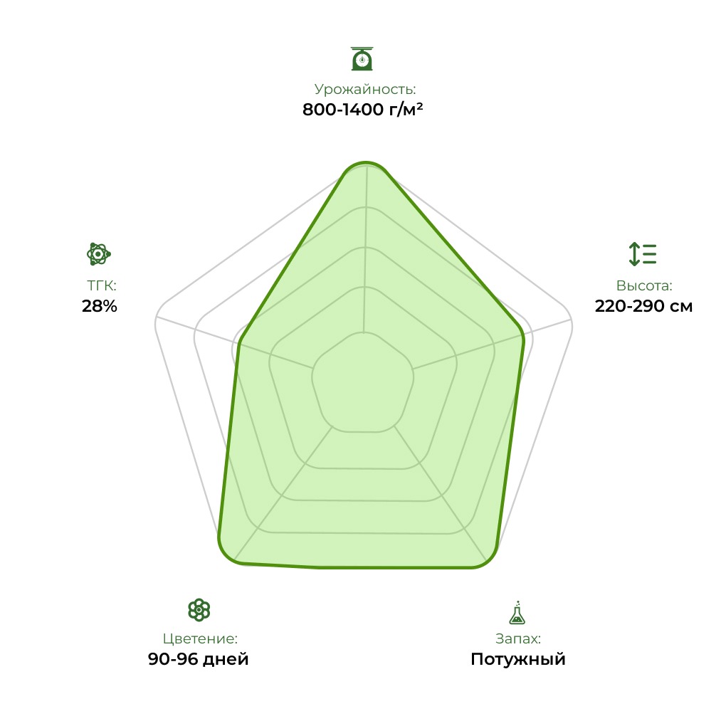 Технологический радар сорта Satori USA 33stakana