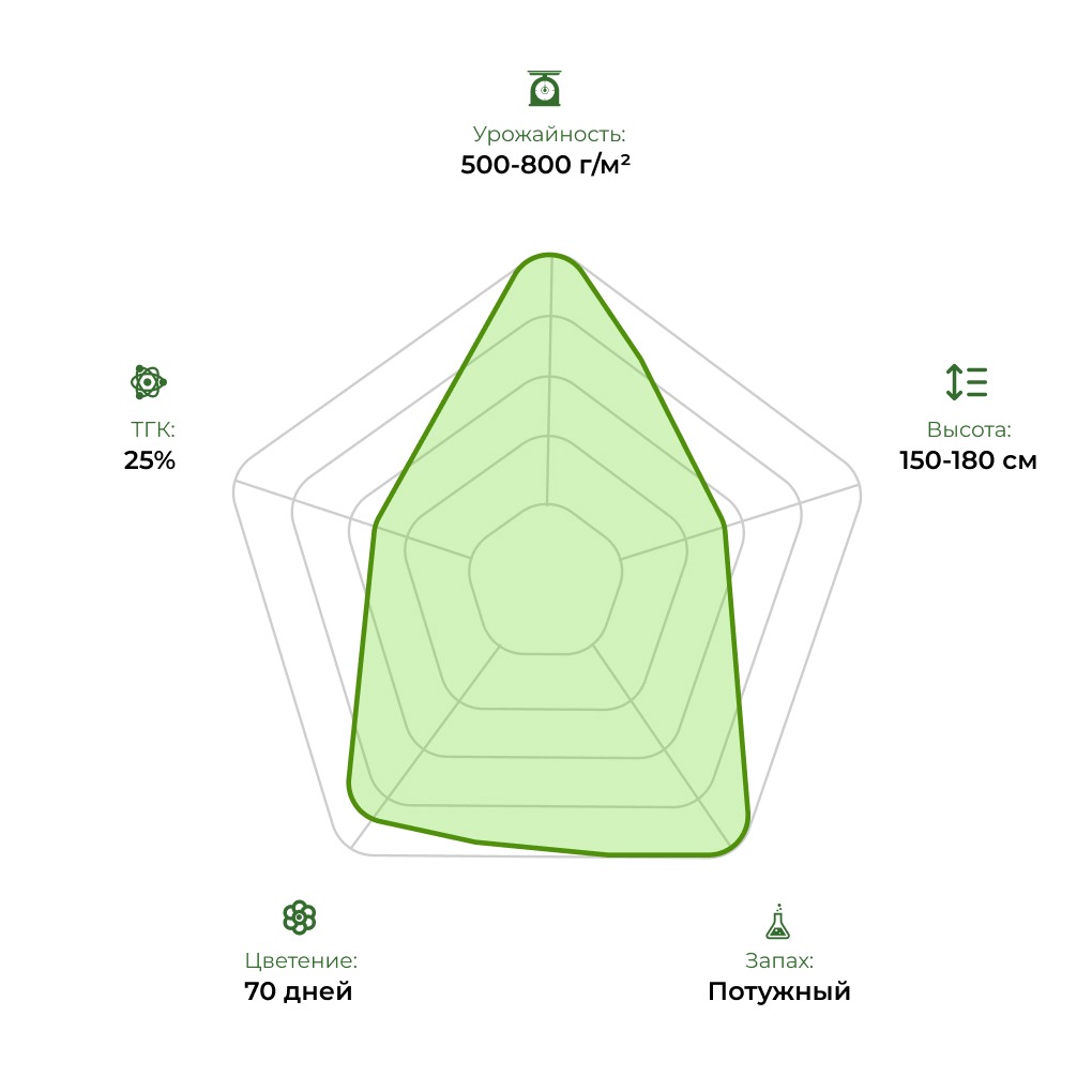Технологический радар сорта Tangie 33stakana