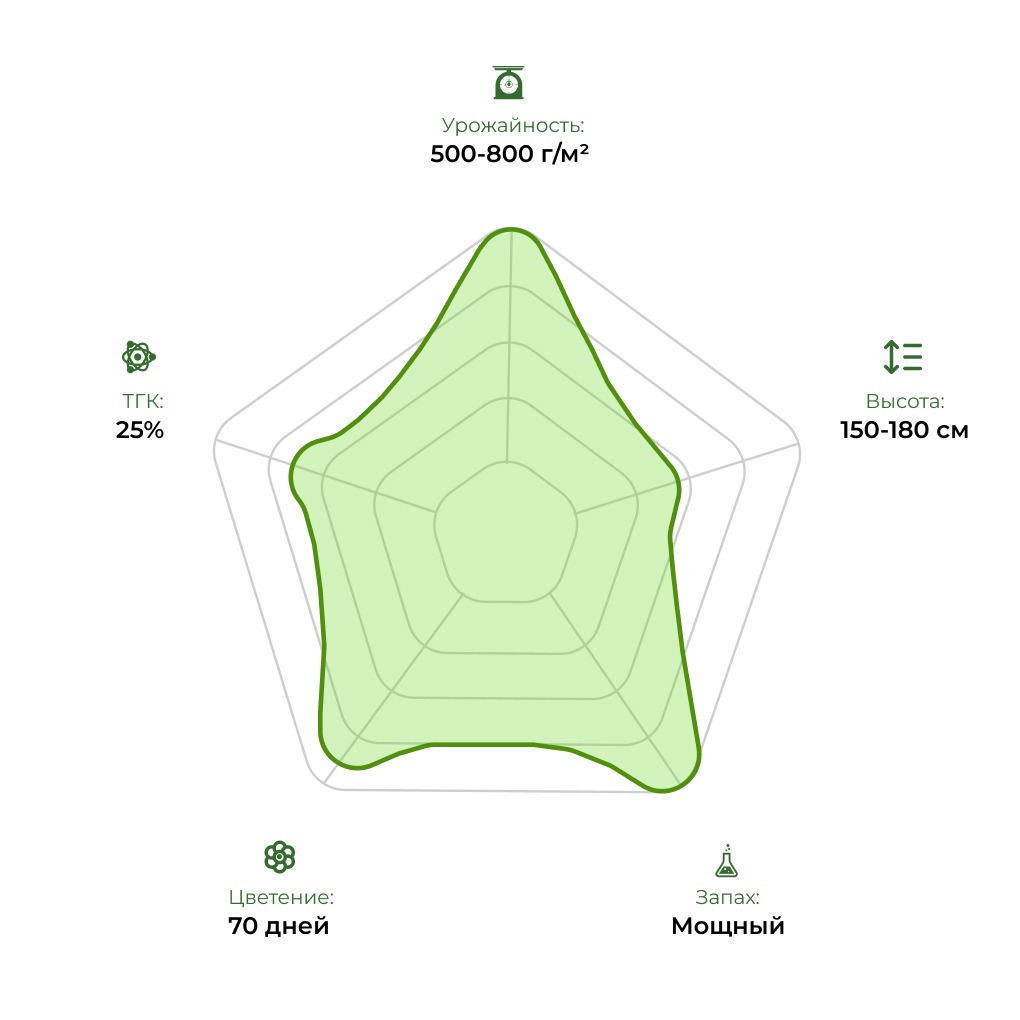 Технологический радар сорта Tangie fem 33 stakana