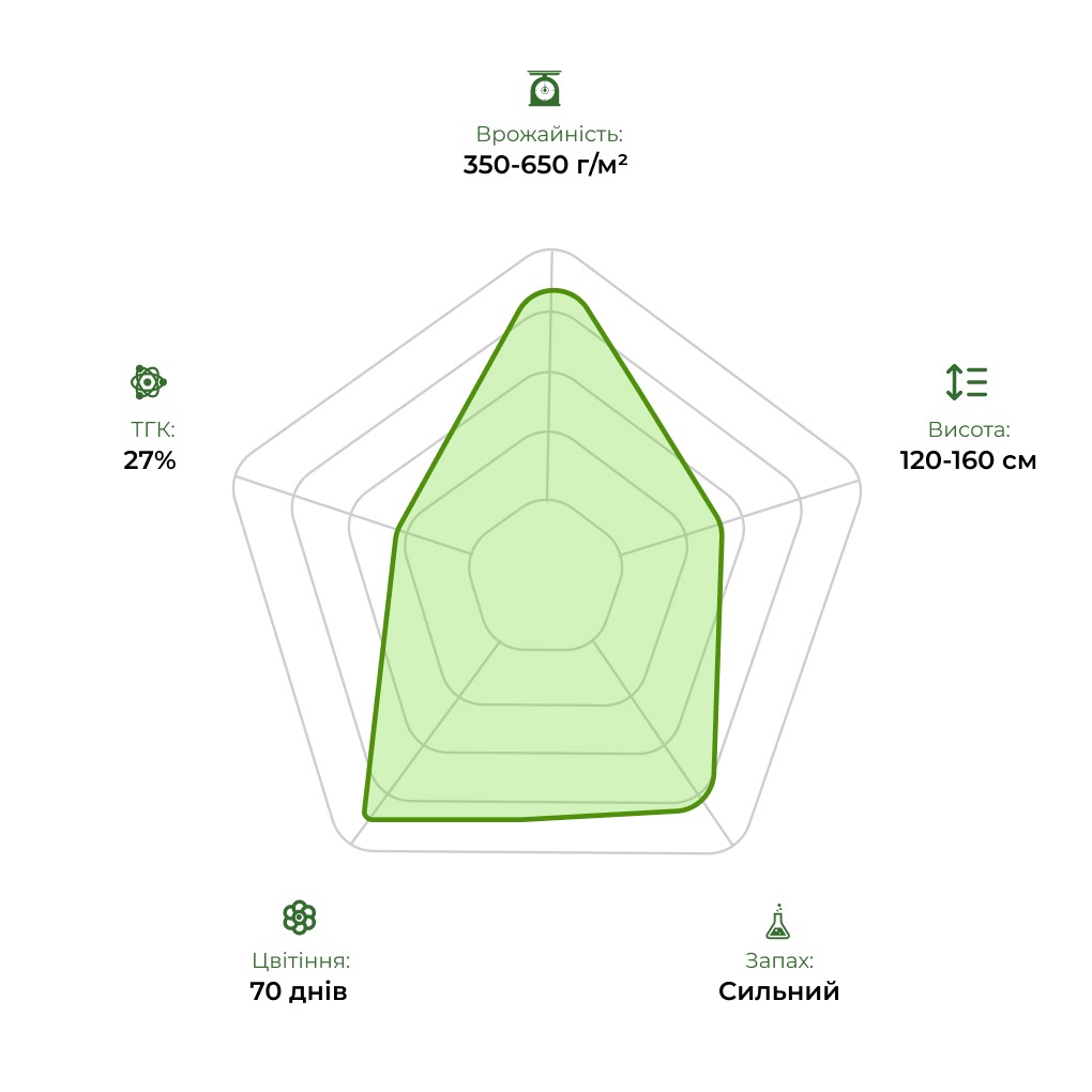 Технологічний радар сорту Auto Bruce Banner 33stakana