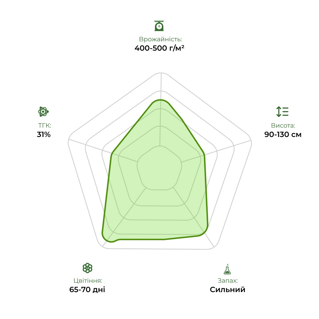 Технологічний радар сорту Auto Gagarin 33stakana