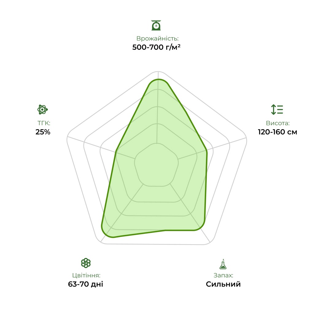 Технологічний радар сорту Auto Green Crack 33stakana