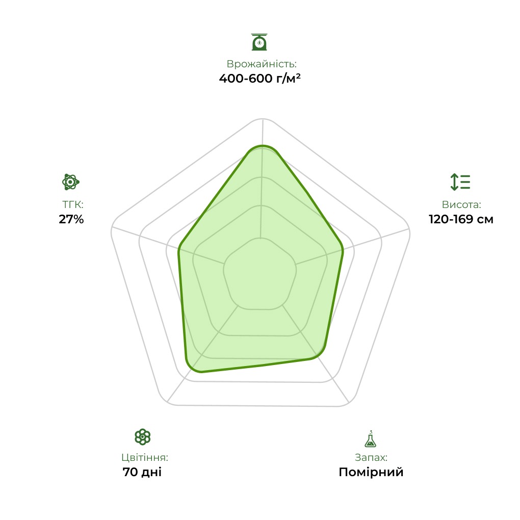 Технологічний радар сорту Auto Satori 33stakana