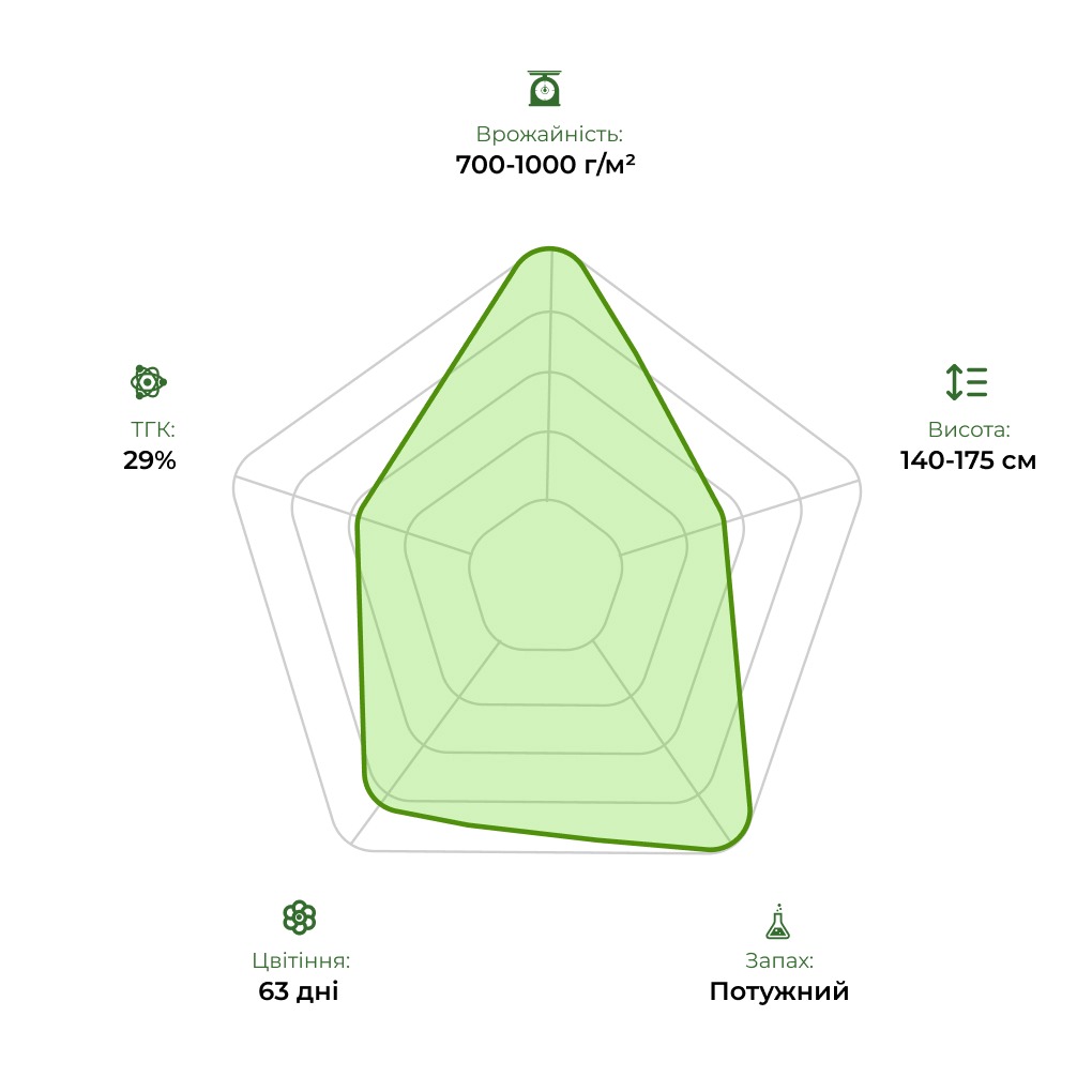 Технологічний радар сорту Gorilla #5 33stakana