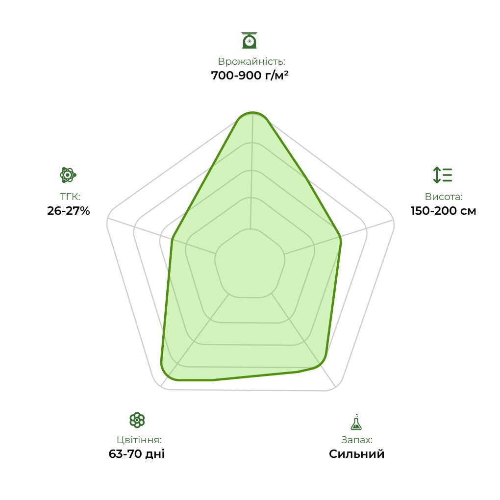 Технологічний радар сорту One Joint 33stakana