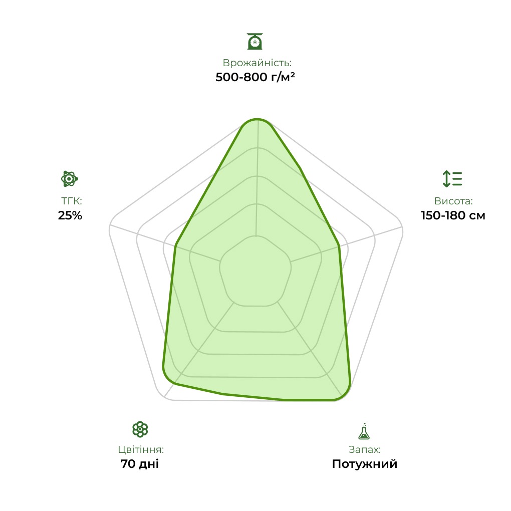 Технологічний радар сорту Tangie 33stakana