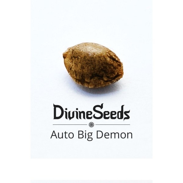 Auto Big Demon Divine Seeds