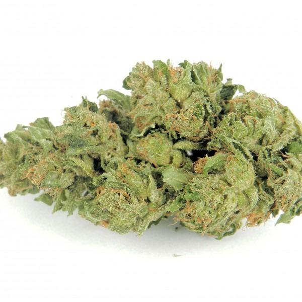 cannabis California Dream