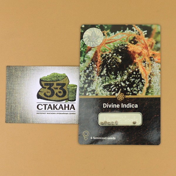 33stakana Дивайн Индика