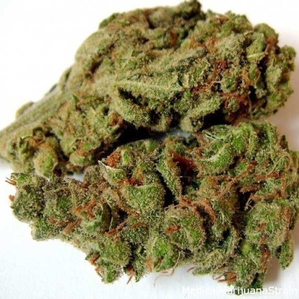 cannabis Fruitylicious
