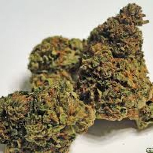 купити Холандс Хоуп